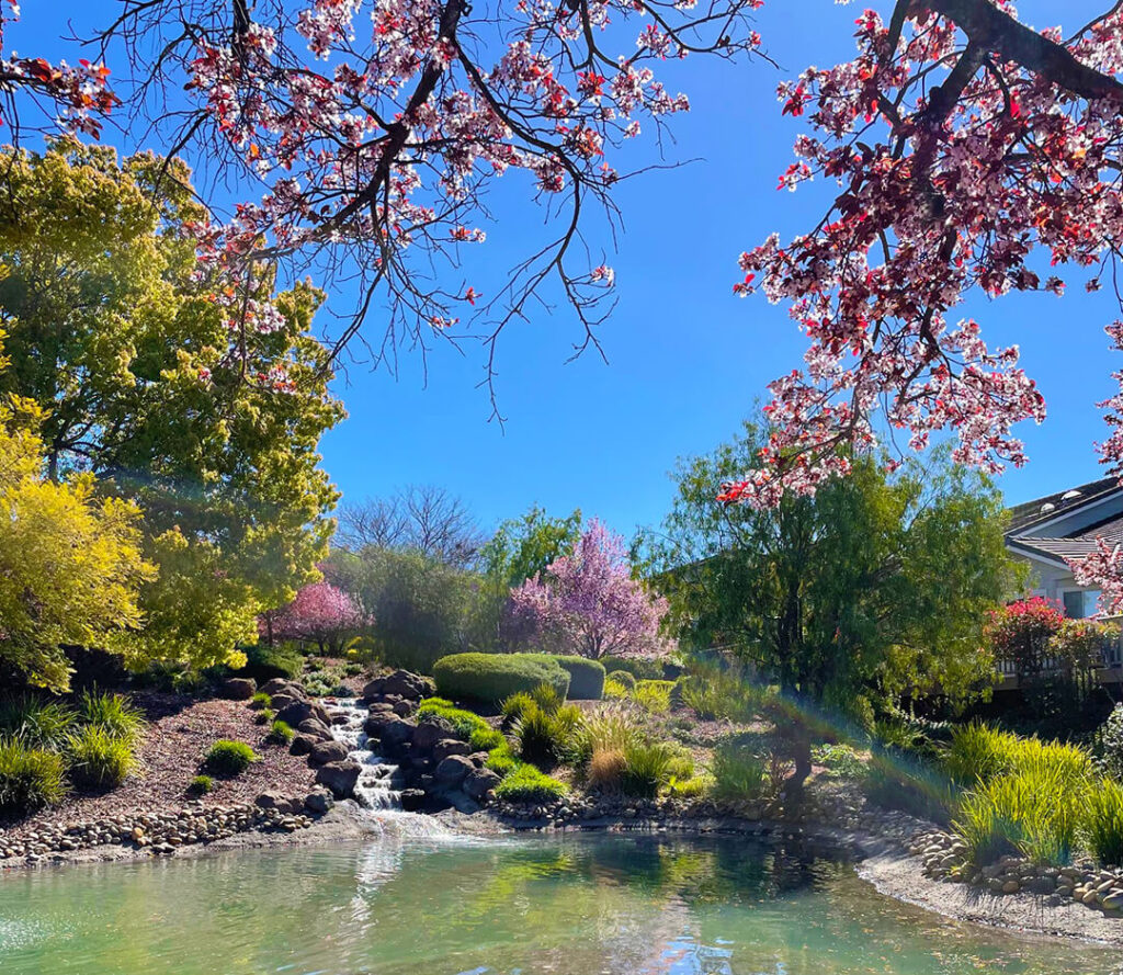 Olivas Village water feature