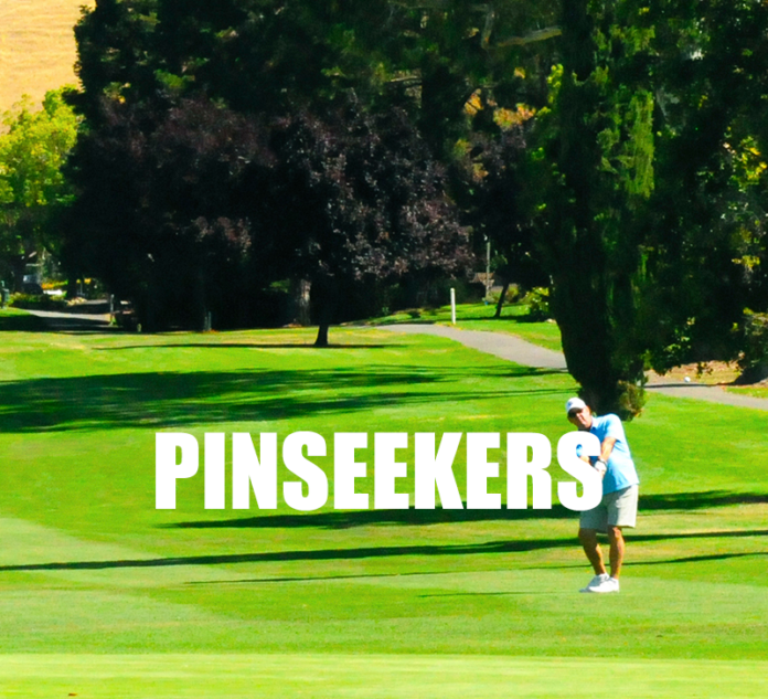 Pinseekers