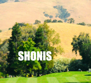 Shonis