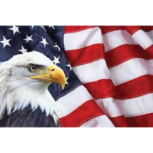 Vets Club eagle
