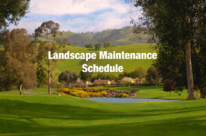 Landscape Maintenance Schedule