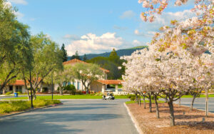 Cribari Center in the spring