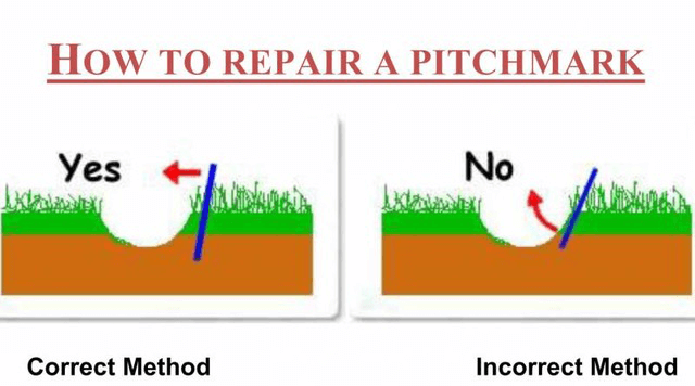 Golf Pitchmark Repair