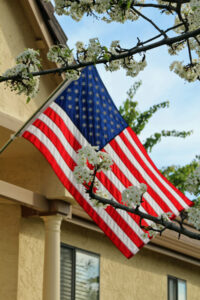 Flag image